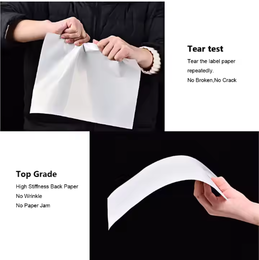 Tem dán PP khổ A3 - cán móng hoặc mờ - Ảnh 3